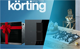 Духовка в подарок